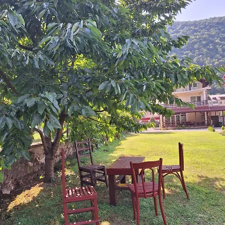 Casa Astoria * Baile Herculane