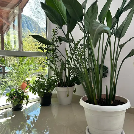 Casa Astoria Baile Herculane