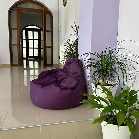 Homestay Casa Astoria Baile Herculane