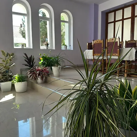 Casa Astoria Homestay Baile Herculane